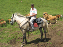 en cata d'alguna res pe las camperas