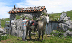 aparexando la caballera pa baxar al pueblu