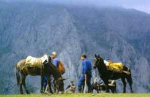 los vaqueros del Puerto Güeria