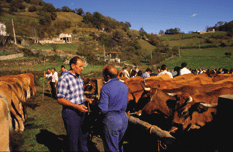 feria de Xomezana